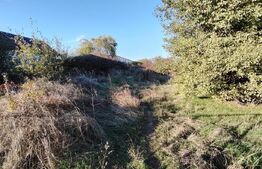 Teren intravilan POT 80%, Carcea 3081 mp, zona Metro / Robest