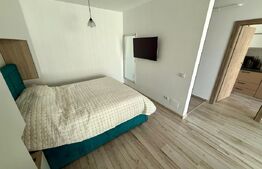 Apartament 1 camera, 50 mp, zona 1 Mai