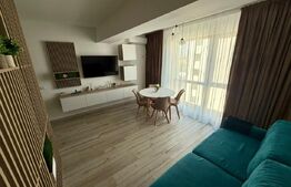 Apartament 1 camera, 50 mp, zona 1 Mai