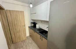 Apartament 1 camera, 50 mp, zona 1 Mai