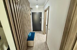 Apartament 1 camera, 50 mp, zona 1 Mai