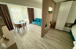 Apartament 1 camera, 50 mp, zona 1 Mai