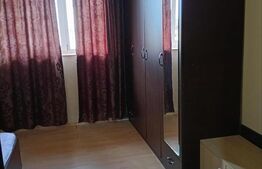 Camera de camin, 21 mp, zona Valea Rosie