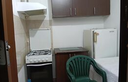 Camera de camin, 21 mp, zona Valea Rosie