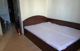 Camera de camin, 21 mp, zona Valea Rosie