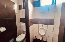 Showroom de inchiriat, 360 mp, zona Semi-centrala