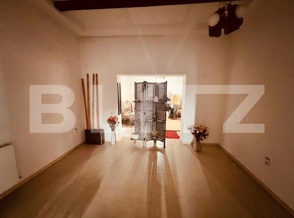 Spațiu comercial de închiriat Valea Rosie - 180489SIC | BLITZ Craiova | Poza12