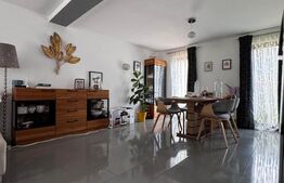 Casa P+1, parte din Duplex, 200 mp teren, zona Damila