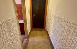 Apartament 2 camere, 48 mp, Brazda lui Novac.