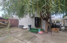 Casa, 200 mp, teren 1800 mp, Oras Bals