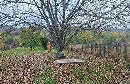 Casa, 200 mp, teren 1800 mp, Oras Bals