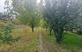 Casa, 200 mp, teren 1800 mp, Oras Bals