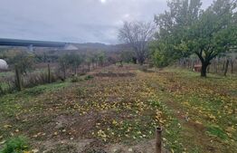 Casa, 200 mp, teren 1800 mp, Oras Bals