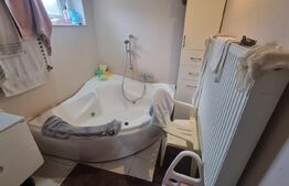 Casa, 200 mp, teren 1800 mp, Oras Bals