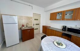 Garsoniera, zona centrala, centrala proprie si aer conditionat