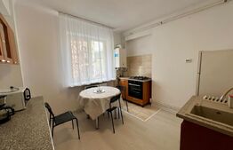 Garsoniera, zona centrala, centrala proprie si aer conditionat