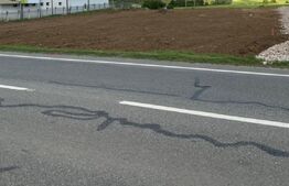 Parcele teren intravilan, 580 mp, Pielești 