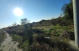 Teren intravilan 1000mp, front 52,38, zona Damila 