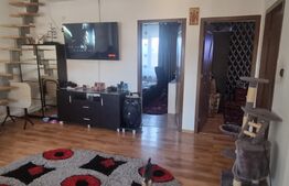 Casa P+M, 140 mp, zona Brestei