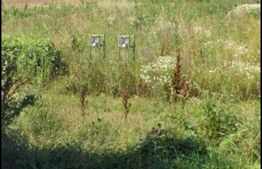 Teren extravilan cu o suprafata de 2373 mp in Racarii de sus