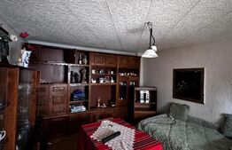 Casa de inchiriat zona George Enescu