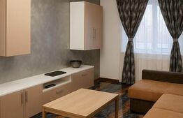 Garsoniera, 33 mp, zona Bariera Valcii