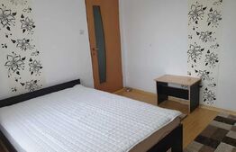 Apartament 2 camere, 48 mp, Craiovita Noua