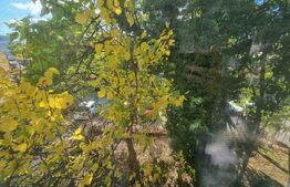 Apartament de 3 camere, 68 mp, zona Rovine