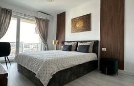 Apartament 2 camere, 100 mp, zona 1 Mai 