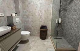 Apartament 2 camere, 100 mp, zona 1 Mai 