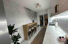 Apartament 2 camere, 100 mp, zona 1 Mai 