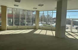 Spatiu comercial, 300 mp, zona Valea Rosie
