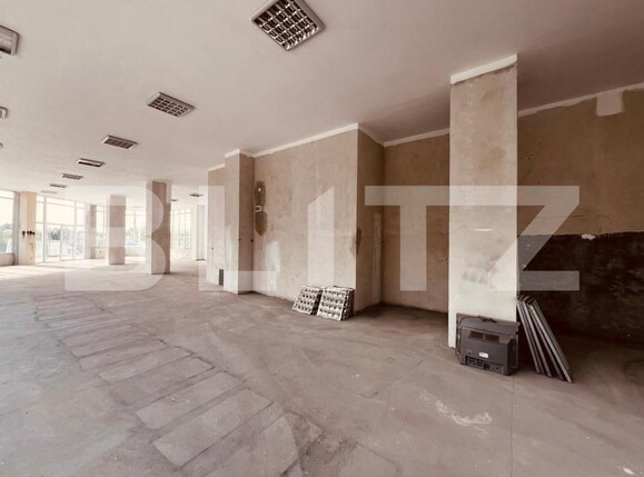 Spațiu comercial de închiriat Valea Rosie - 180887SIC | BLITZ Craiova | Poza2
