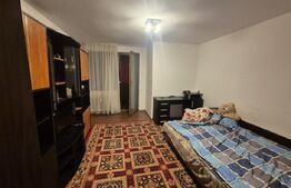 Garsoniera, 31 mp, Brazda lui Novac