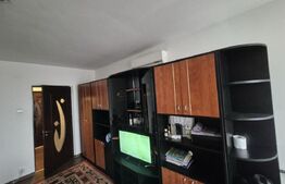 Garsoniera, 31 mp, Brazda lui Novac