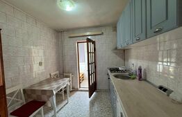 Apartament de inchiriat, 2 camere, 50 mp, Brazda lui Novac
