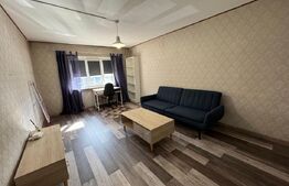 Apartament de inchiriat, 2 camere, 50 mp, Brazda lui Novac