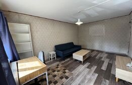 Apartament de inchiriat, 2 camere, 50 mp, Brazda lui Novac