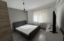 Apartament de inchiriat, 2 camere, 50 mp, Brazda lui Novac