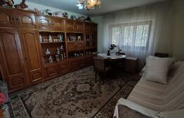 Casa 5 camere, 214 mp, cartierul Brestei