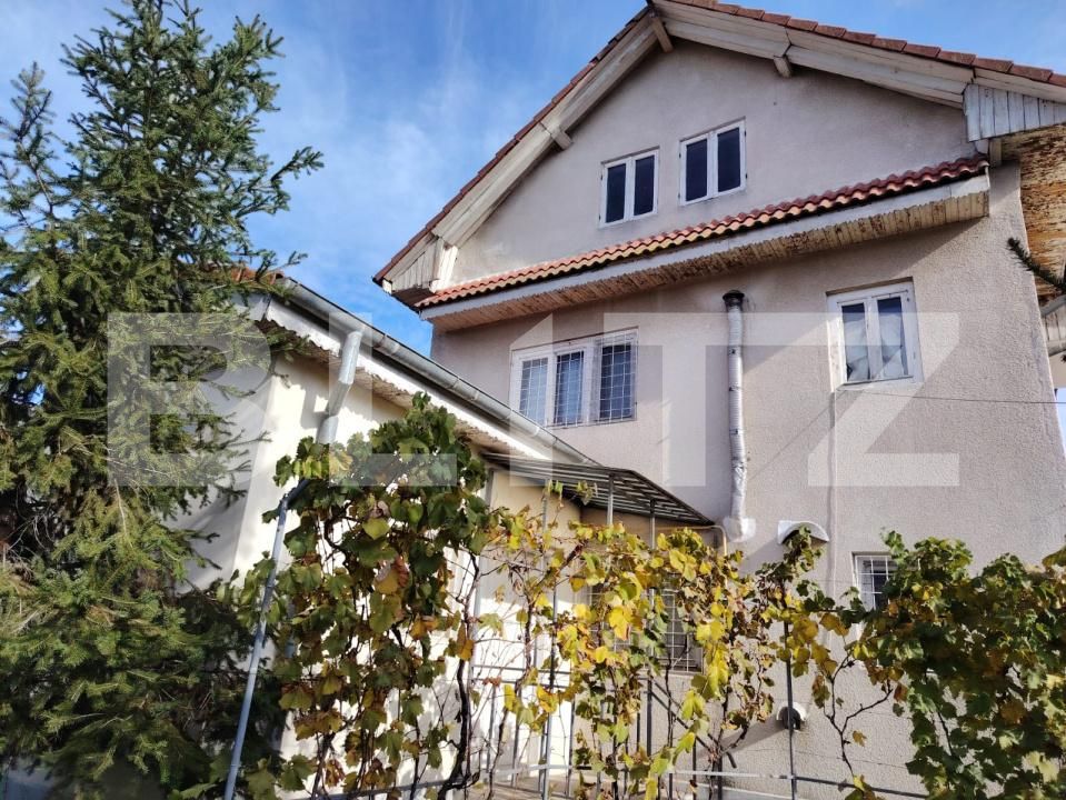 Casa de vânzare 5 camere Brestei - 180966CV | BLITZ Craiova | Poza11