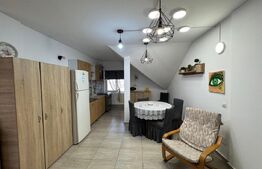 Apartament de inchiriat, 120 mp, Calea Severinului