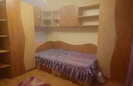 Apartament de inchiriat, 2 camere, 50 mp, Brazda lui Novac