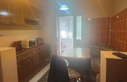 Apartament de inchiriat, 2 camere, 50 mp, Brazda lui Novac