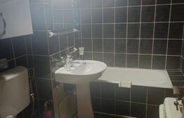 Apartament de inchiriat, 2 camere, 50 mp, Brazda lui Novac