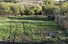 Teren intravilan, minim 2000 mp, front 20 ml , Fratostita, Filiasi