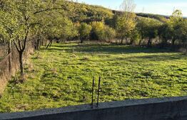 Teren intravilan, minim 2000 mp, front 20 ml , Fratostita, Filiasi