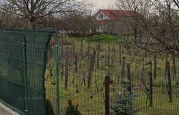 Teren Intravilan Parcelabil, Malu Mare, oportunitate de investitie