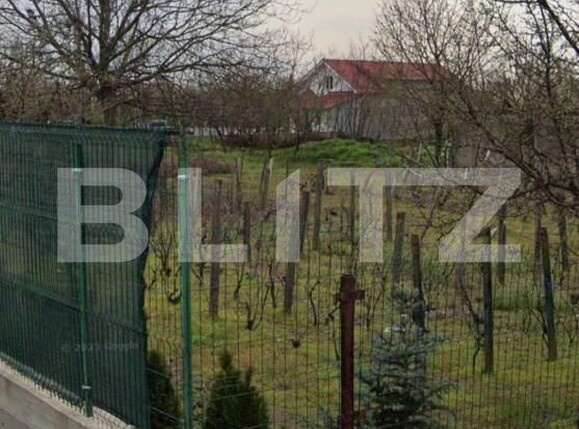 Teren de vânzare Malu Mare - 181243TV | BLITZ Craiova | Poza1