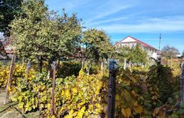 Casa P+M 210 mp utili Craiova, teren 884 mp, cartier Facai